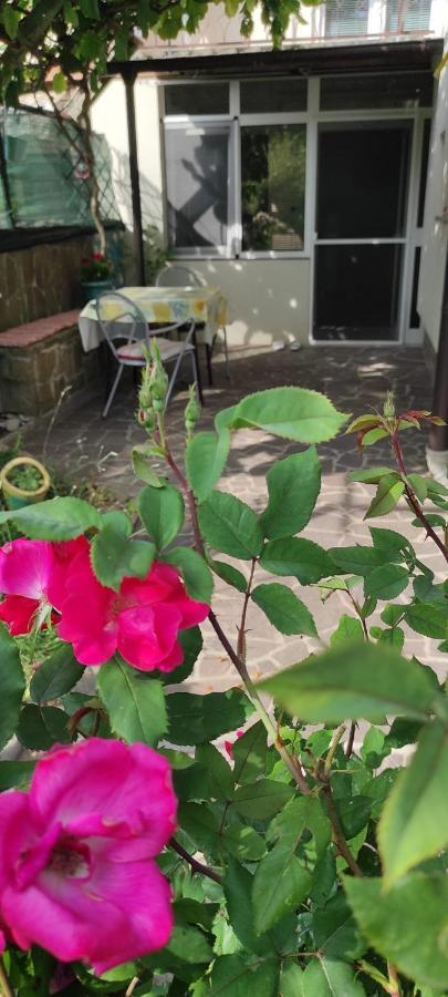 Apartma Marinka Piran Buitenkant foto