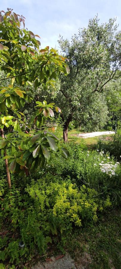 Apartma Marinka Piran Buitenkant foto