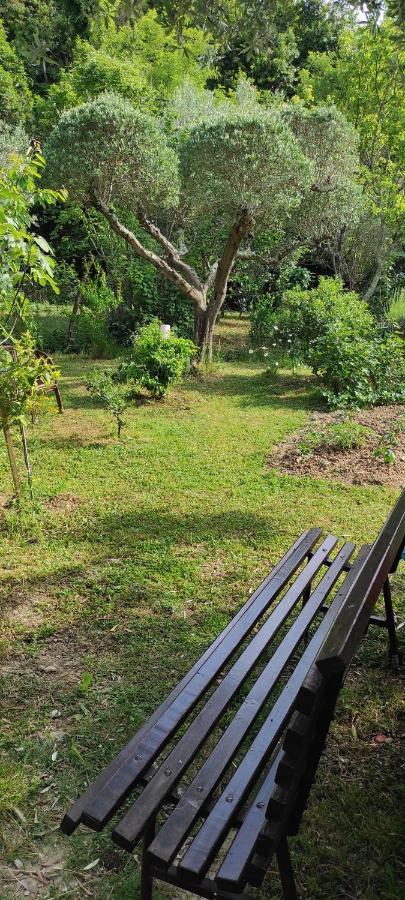 Apartma Marinka Piran Buitenkant foto