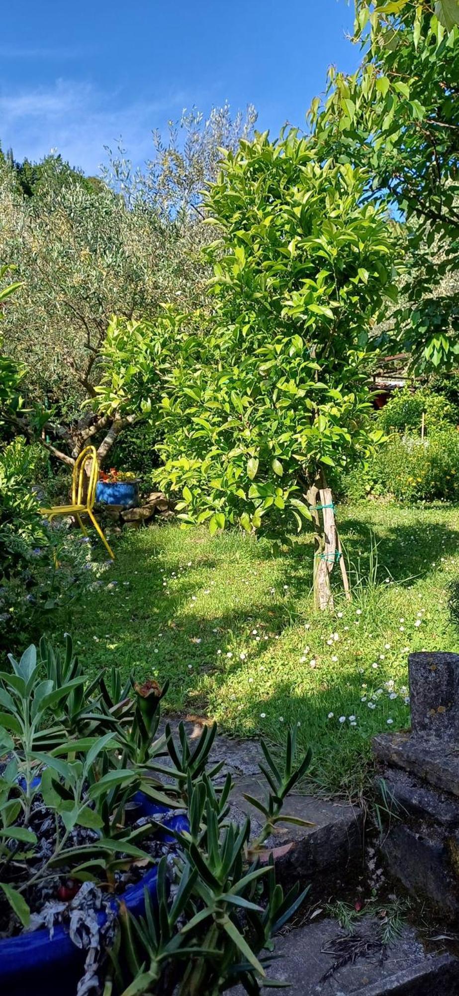 Apartma Marinka Piran Buitenkant foto