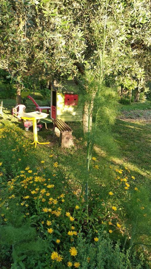 Apartma Marinka Piran Buitenkant foto
