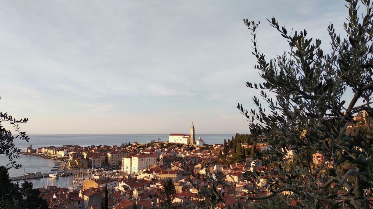 Apartma Marinka Piran Buitenkant foto